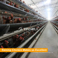 4 Tiers Automatic Manure Removing Battery Cages for Broilers
